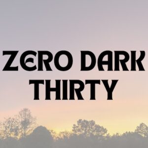 Zero Dark Thirty